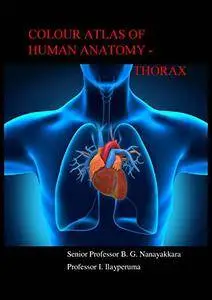 Colour Atlas of Human Anatomy-Thorax