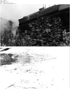 The Mountain Runners (2012)