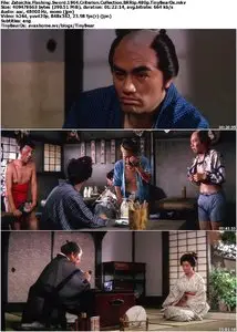 Zatoichi's Flashing Sword (1964) Criterion Collection