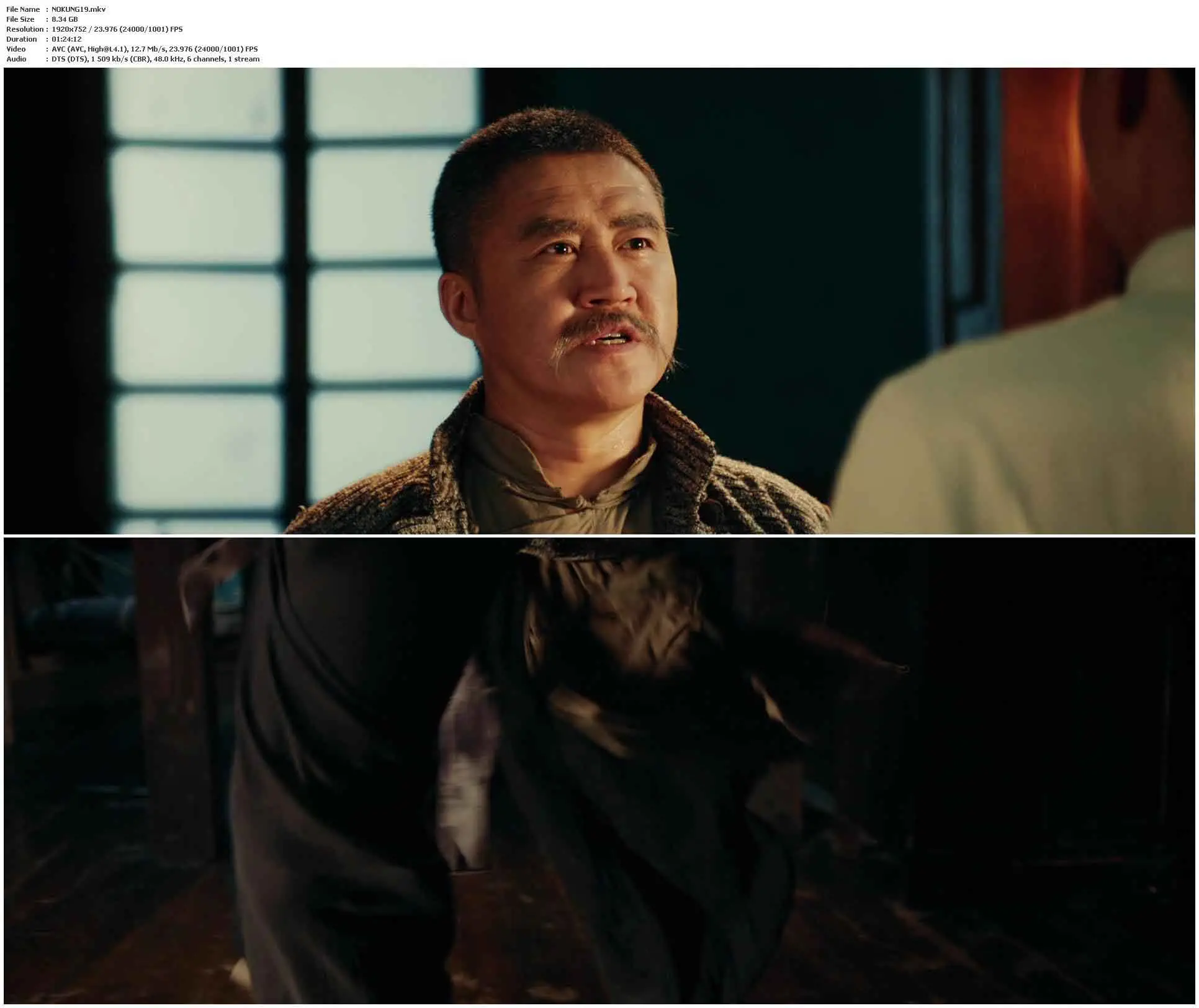 Ip Man Kung Fu Ip Man: Kung Fu Master (2019) / AvaxHome