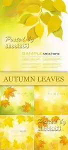Autumn Leaves Backgrounds Vector 2