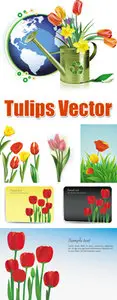 Tulips Vector
