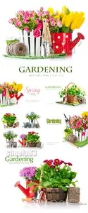 Stock Photo - Spring Gardening 2