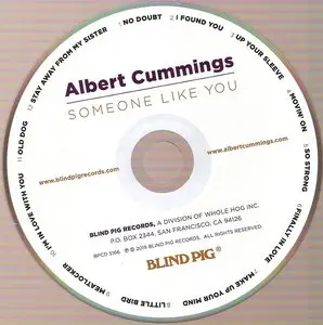 Albert Cummings - Someone Like You (2015)