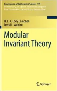 Modular Invariant Theory