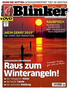 Blinker - Januar 2016
