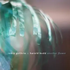 Robin Guthrie & Harold Budd - Another Flower (2020)