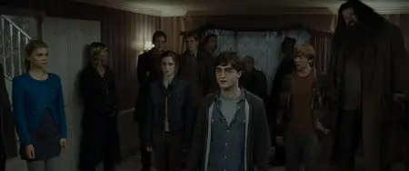 Harry Potter and the Deathly Hallows: Part 1 / Гарри Поттер и Дары смерти: Часть 1 (2010)