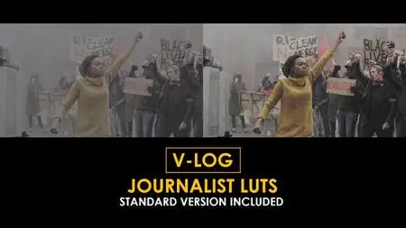 V-Log Journalist and Standard LUTs 51433965