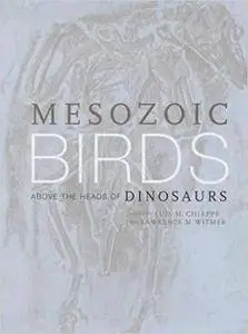 Mesozoic Birds: Above the Heads of Dinosaurs (Repost)