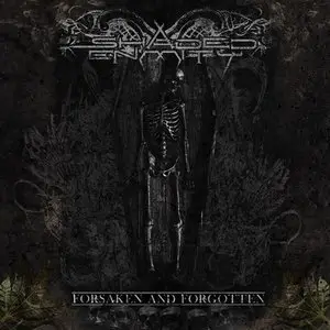 Shaded Enmity - Forsaken And Forgotten (2013)