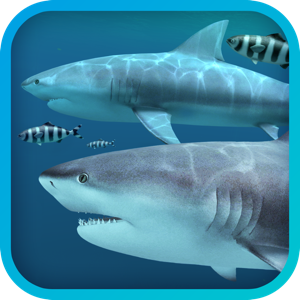 Sharks 3D 2.0.0