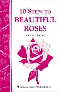 10 Steps to Beautiful Roses