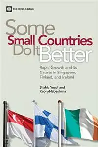 Some Small Countries Do It Better: Rapid Growth and Its Causes in Singapore, Finland, and Ireland