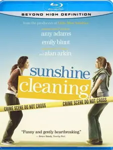 Sunshine Cleaning (2008)