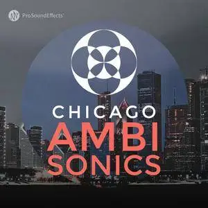 Pro Sound Effects Library Chicago Ambisonics WAV