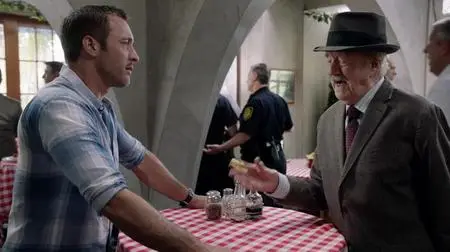 Hawaii Five-0 S09E07
