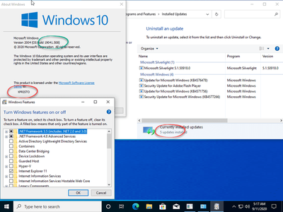 Windows 10 20H1 2004.10.0.19041.508 AIO 20in2 (x86-x64) Multilanguage Preactivated September 2020