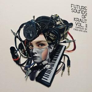 VA - Future Sounds Of Kraut Vol.2 Compiled by Fred und Luna (2024)