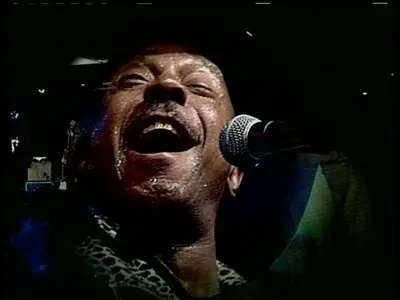 Chicago Blues Jam Vol. 2 - Lonnie Brooks, Studebaker John & The Hawks (2005)