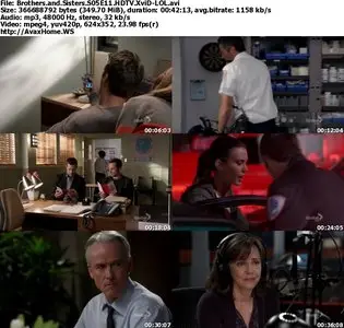 Brothers and Sisters S05E11