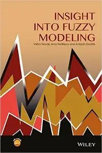 Insight into Fuzzy Modeling