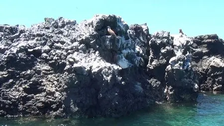 Faszination Galapagos (2012)