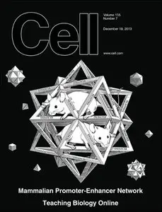 Cell - 19 December 2013