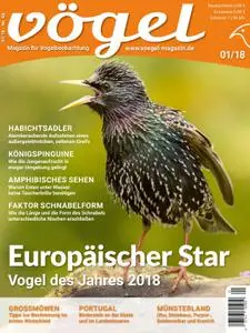 VÖGEL - Magazin für Vogelbeobachtung – 01. Dezember 2017