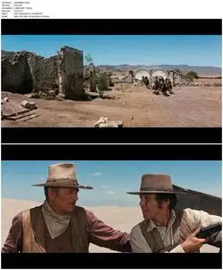 The Train Robbers (1973)