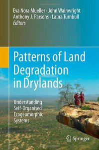 Patterns of Land Degradation in Drylands: Understanding Self-Organised Ecogeomorphic Systems 