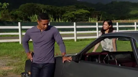 Hawaii Five-0 S10E09