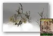 Trees Brushes