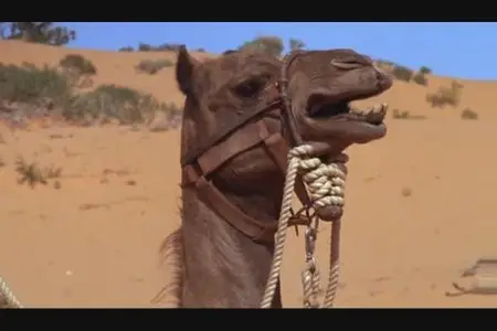 One Little Indian (1973)