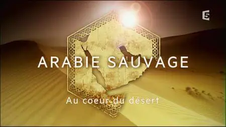 (Fr5) Arabie sauvage - Au cœur du désert (2016)