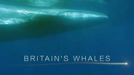 ITV - Britains Whales and Sharks: Series 1 (2016)