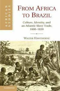 From Africa to Brazil: Culture, Identity, and an Atlantic Slave Trade, 1600-1830