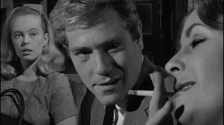 Who's Afraid of Virginia Woolf? (1966) [2-disc Special Edition]