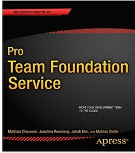 Pro Team Foundation Service [Repost]