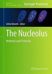 The Nucleolus: Methods and Protocols (Methods in Molecular Biology)