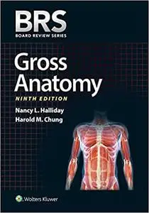 BRS Gross Anatomy  Ed 9