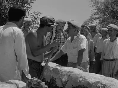 Susuz Yaz (1963)