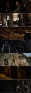 Bone Tomahawk (2015)
