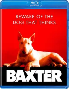 Baxter (1989)