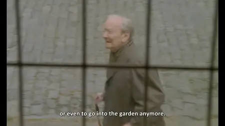 Baxter (1989)