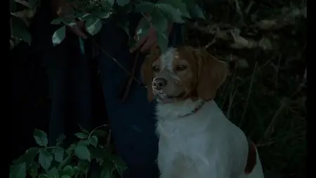 Baxter (1989)