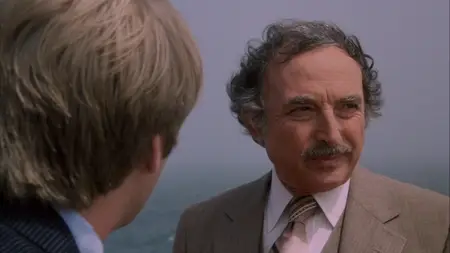 Serial (1980)