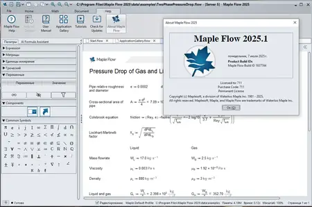 Maplesoft Maple Flow 2025.1