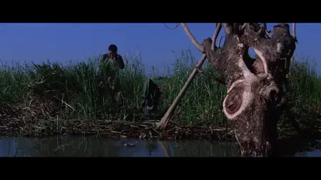 Dung fong tuk ying (1987) Eastern Condors