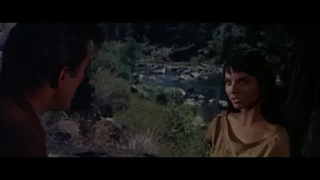 The Indian Fighter (1955)